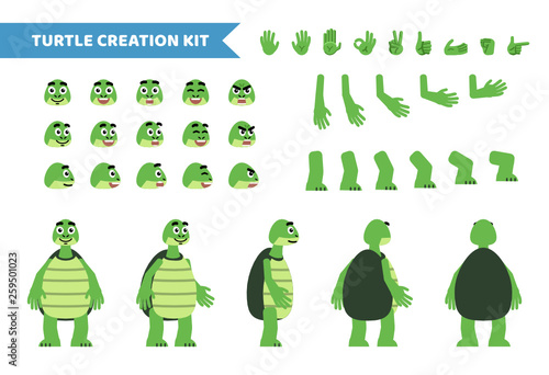 Cartoon turtle creation set. Various gestures, emotions, diverse poses, views. Create your own pose, animation. Flat style vector illustration