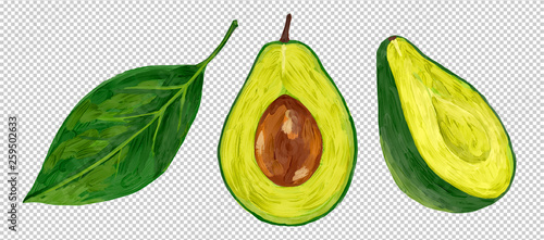 Oil painting style vector half-cut fresh avocado with green leaf isolated on transparency grid imitation background