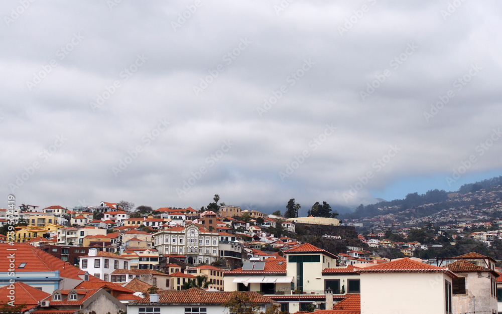 Obraz premium a panoramic cityscape view of funchal showing buildings of the town center and houses running up the mountains to trees and sky