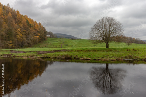 Colorful forest and pasture reflected in the River Hodder