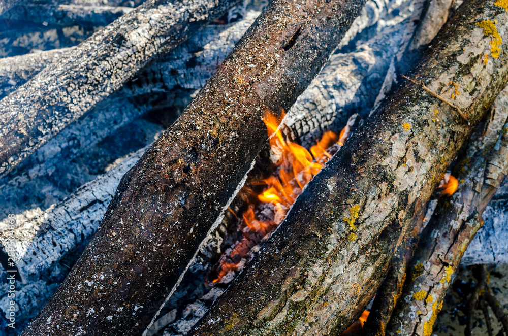 Burning logs in the fire. Flames in the fire closeup