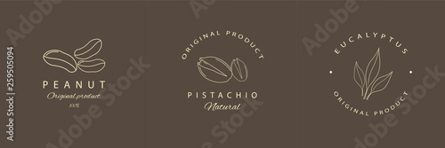 Peanut, pistachio, eucalyptus logotypes or emblems. Vector line logo.