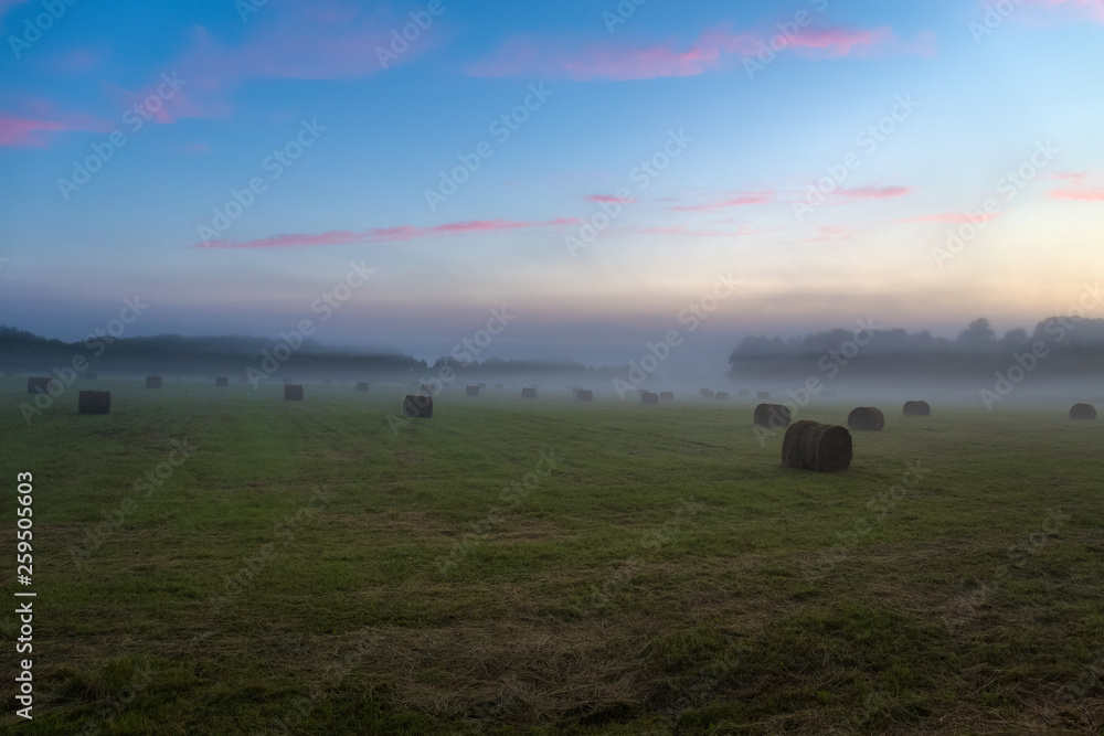 Stacks of hay on a green field in the early misty morning