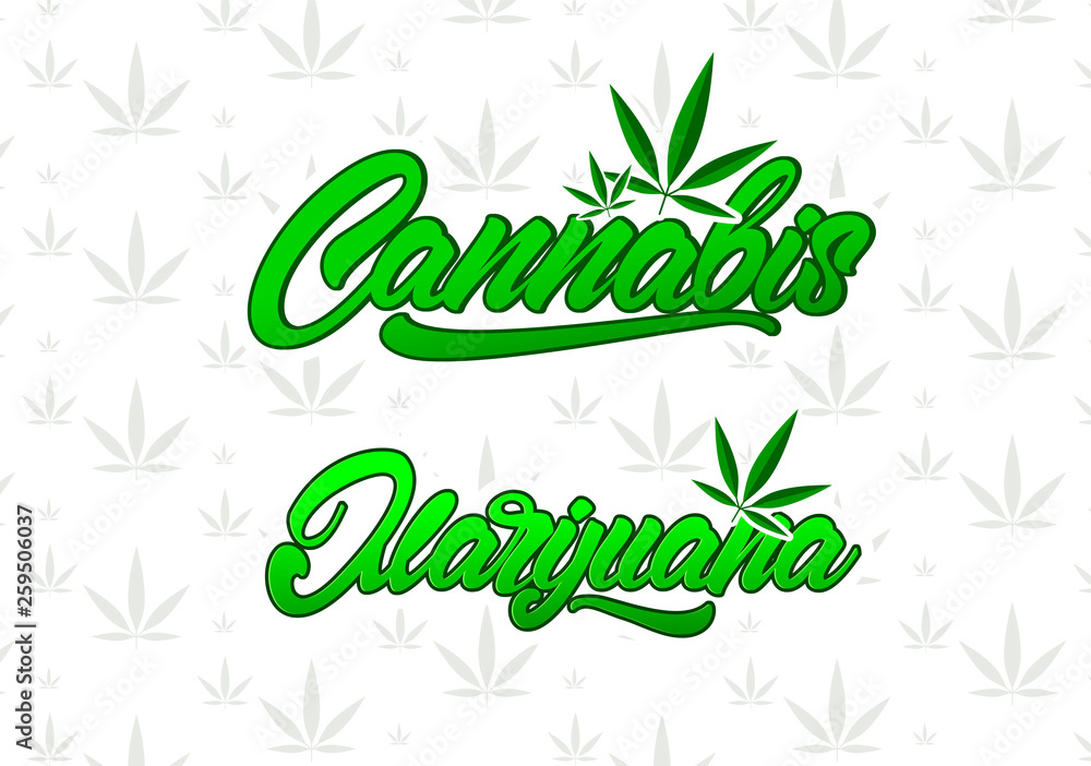 Fototapeta premium Cannabis and marijuana in lettering style. Vector