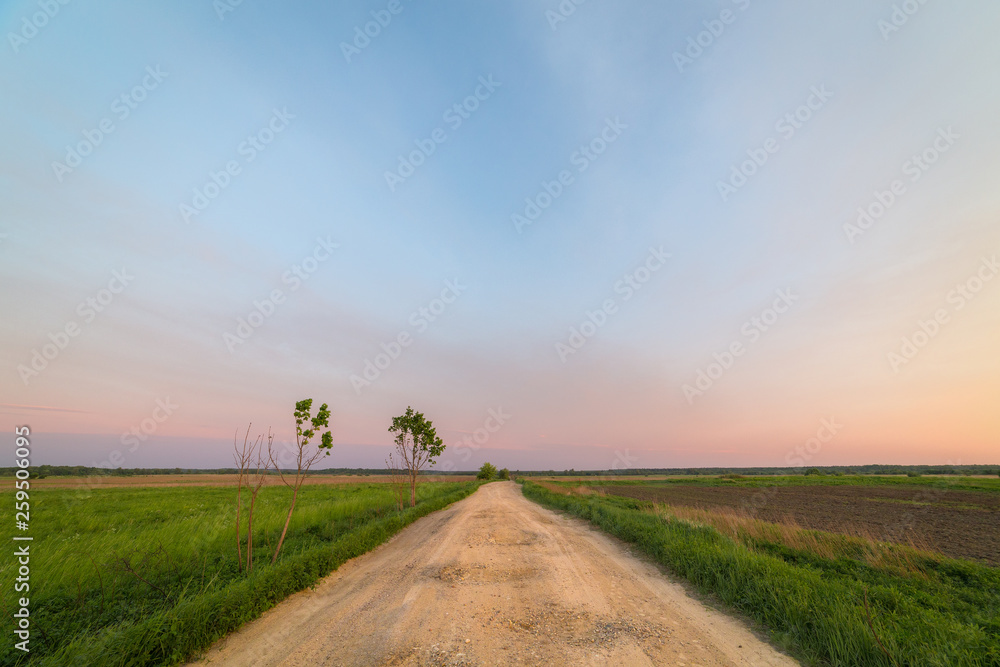 Dirt road runs far away in the green field in the evening
