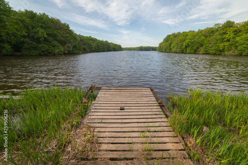 Small wooden pier at the shore of a forest lake