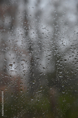 Rain drops on the window with forest background