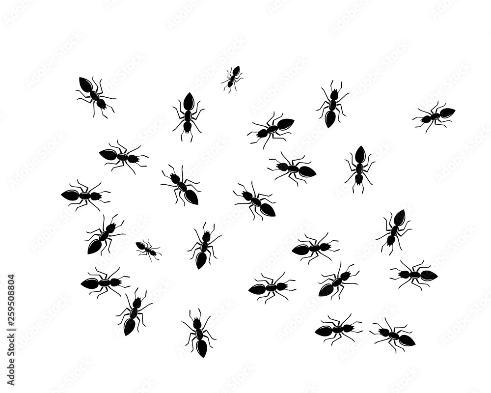 Ant Logo template vector illustration Ant Logo template vector illustration