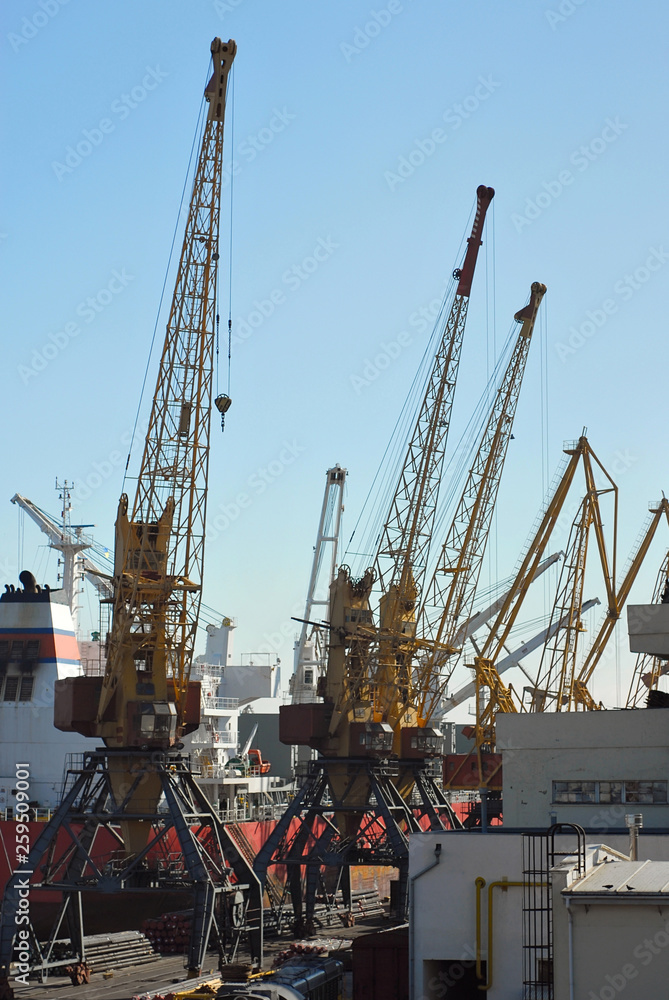 Odessa seaport, Odessa, Ukraine. Cranes and ships in the port against a background of blue sky.