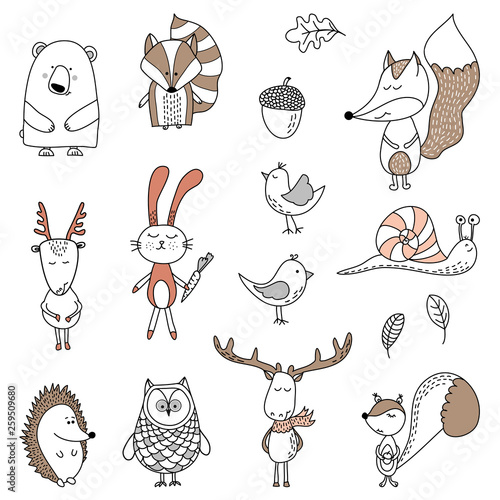 Cute bear, badger, fox, acorn, nut, leafs, roe, deer, bunny, birds, snail, hedgehog, owl, squirrel  - Vector hand drawn doodle character illustrations for posters, cards, t-shirts. 