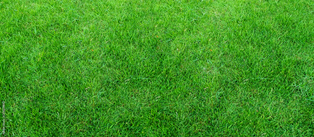 Landscape of grass field in green public park use as natural background or backdrop. Green grass texture from a field. Stadium grass background. Landscape of grass field in green public park use as natural background or backdrop. Green grass texture from a field. Stadium grass background.
