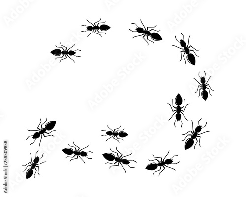 Ant Logo template vector illustration © sangidan