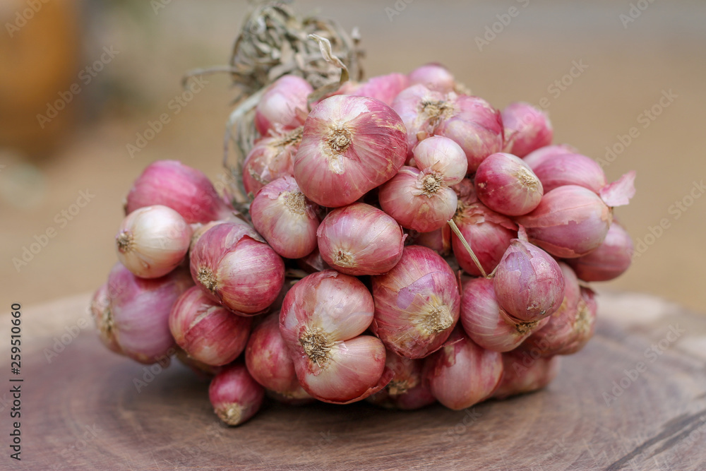 Shallots still on wood background Shallots still on wood background