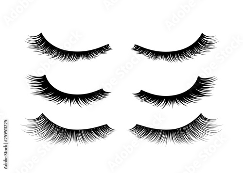 Set of black realistic detailed eyelashes on white
