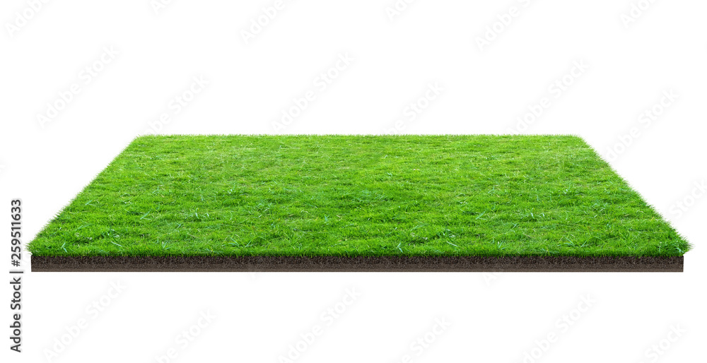 Naklejka Green grass field isolated on white with clipping path. Sports field. Summer team games.