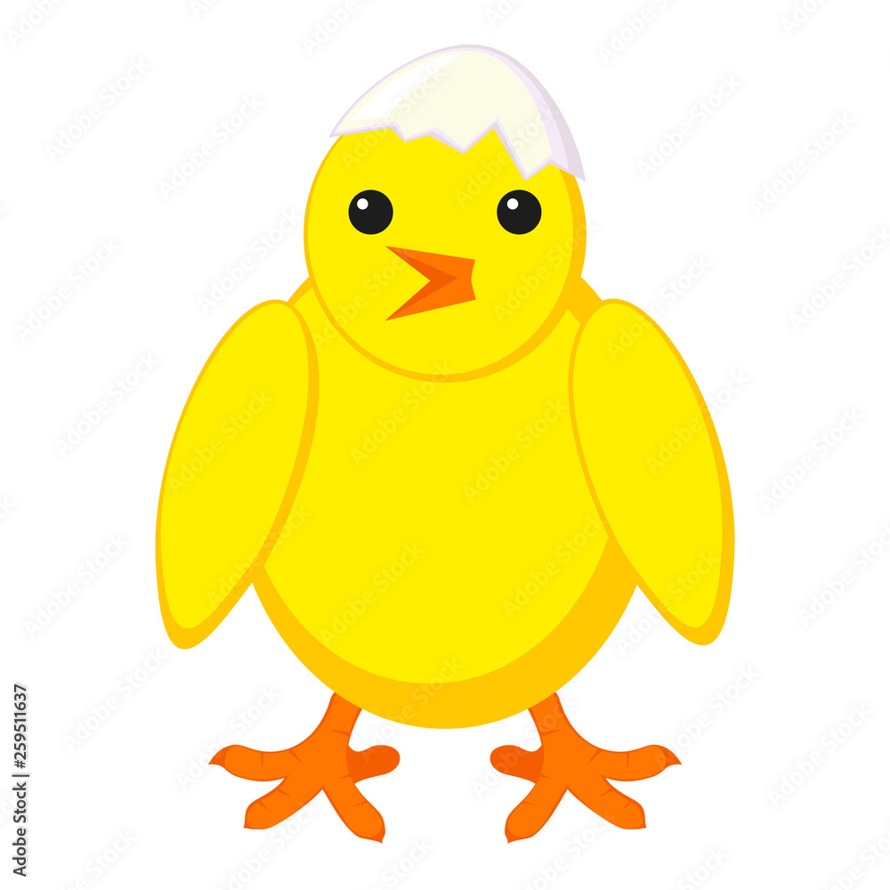 Colorful cartoon chick with shell on head Colorful cartoon chick with shell on head