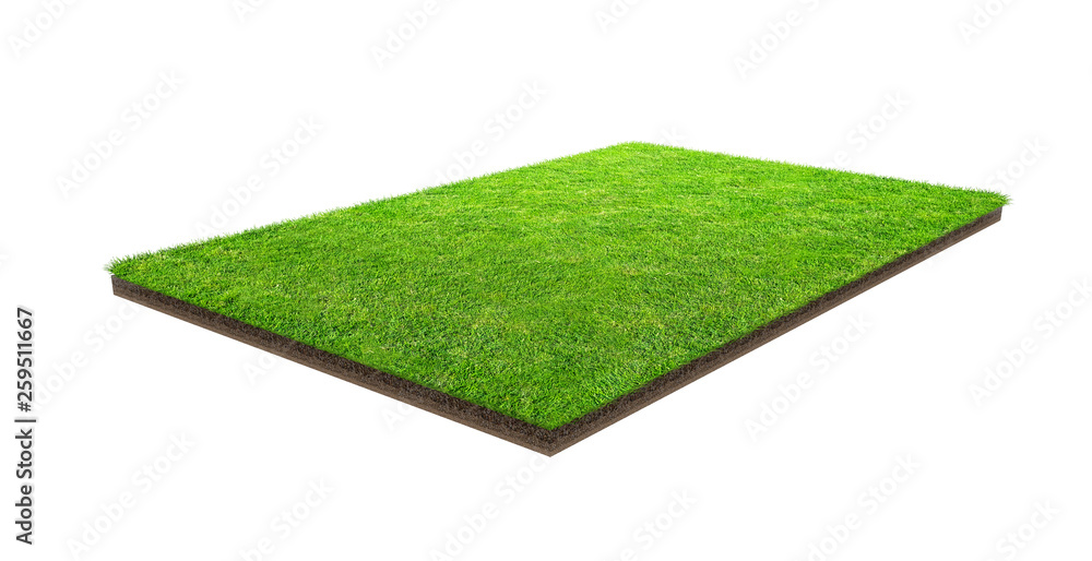 Fototapeta premium Green grass field isolated on white with clipping path. Sports field. Summer team games.