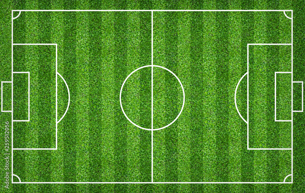 Football field or soccer field for background. Green lawn court for create game. Football field or soccer field for background. Green lawn court for create game.