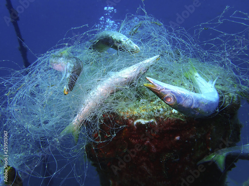 Photography Ghost nets are commercial fishing nets that have been lost, abandoned, or discarded at sea