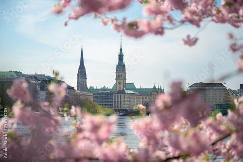 Hamburg Alster Kirschblüte / Cherry Blossom 