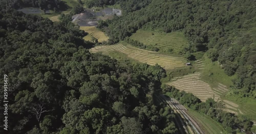 A Pan right shot of fields among forest areas in Chiang Mai, Thailand. Aerial 4K A Pan right shot of fields among forest areas in Chiang Mai, Thailand. Aerial 4K
