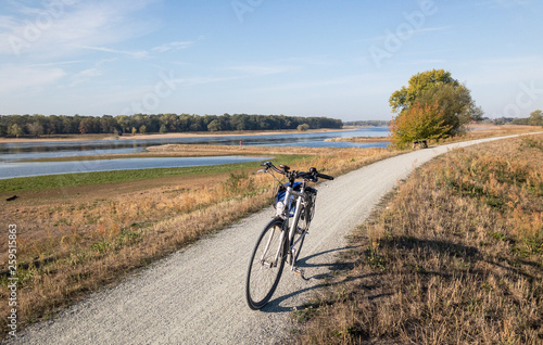 Biking at the River Elbe