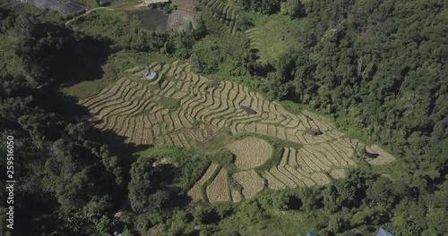 An Arc shot of a completely harvested rice field in the middle of a forest in Chiang Mai, North Thailand. Aerial 4k photo