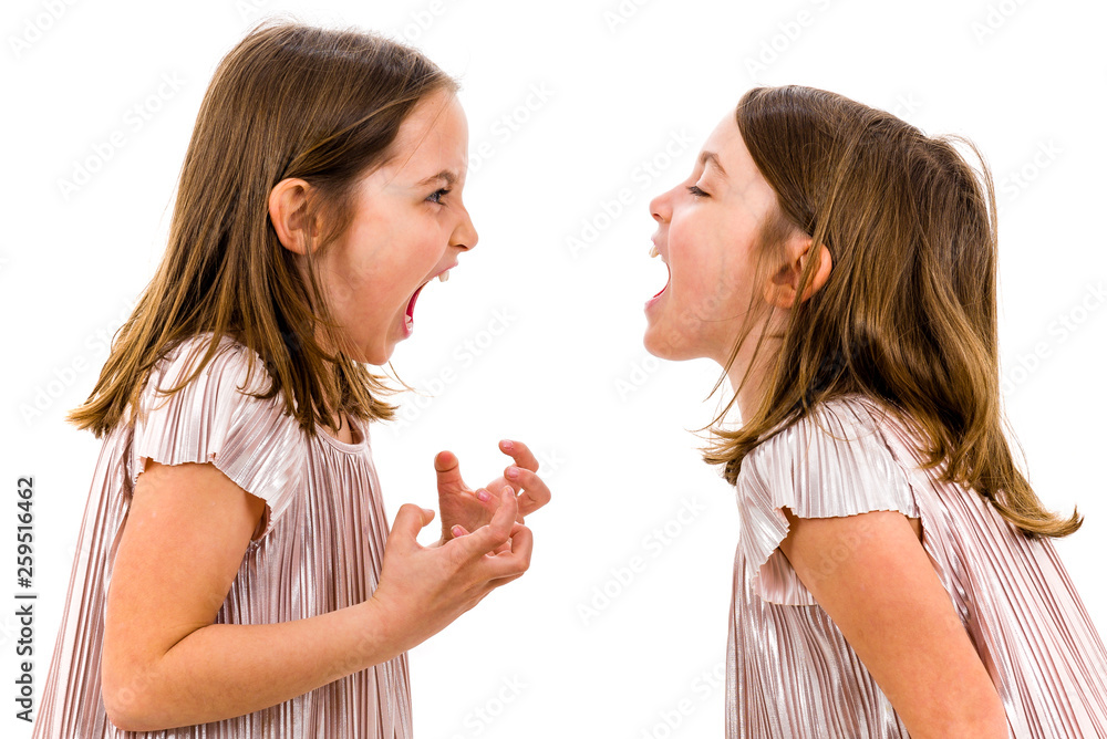 Identical twin girls sisters are arguing yelling at each other. Identical twin girls sisters are arguing yelling at each other.