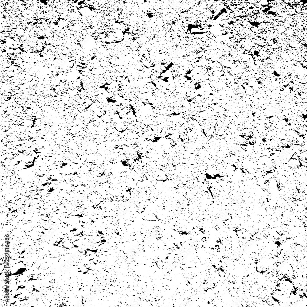 Black and white grunge background. Fine texture. Abstract pattern. Vector illustration.