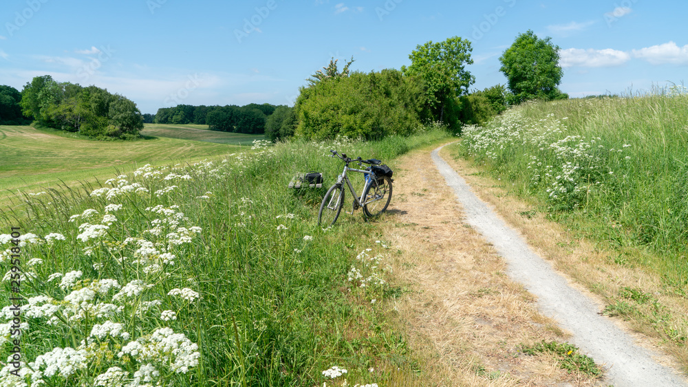 Fototapeta premium bicycle in a field