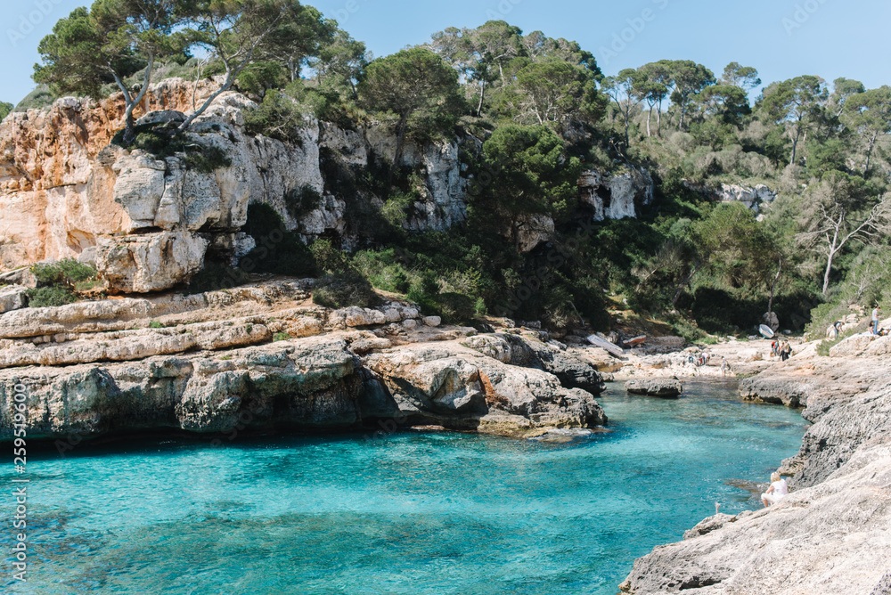 Fototapeta premium Pinien an Steilküste auf Mallorca