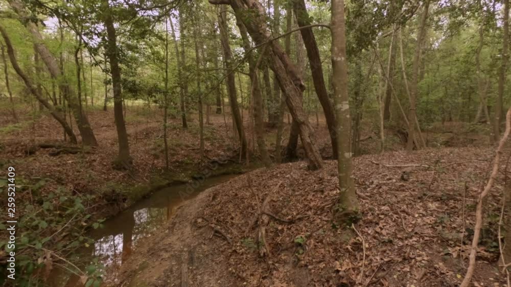 Bend in small fresh water creek in spring woods Bend in small fresh water creek in spring woods