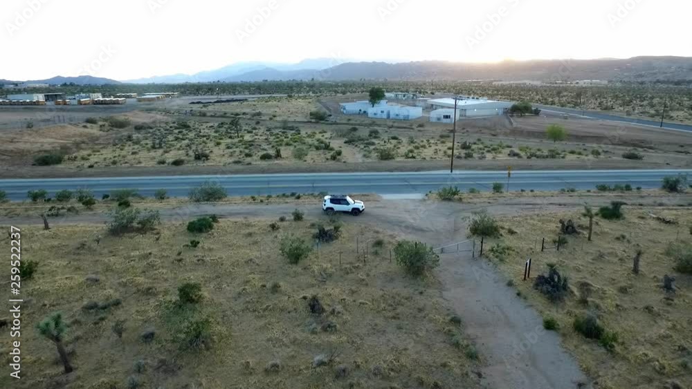 Sunsets at Joshua Tree which thrive in the open grasslands of Queen Valley and Lost Horse Valley in Joshua Tree National Park Sunsets at Joshua Tree which thrive in the open grasslands of Queen Valley and Lost Horse Valley in Joshua Tree National Park