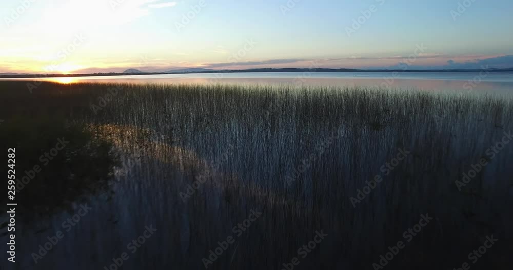 Aerial Fly Over Grass & Reeds Growing in Lagoon / Lake in Uruguay at Sunset with Reflection of Clouds on the Water