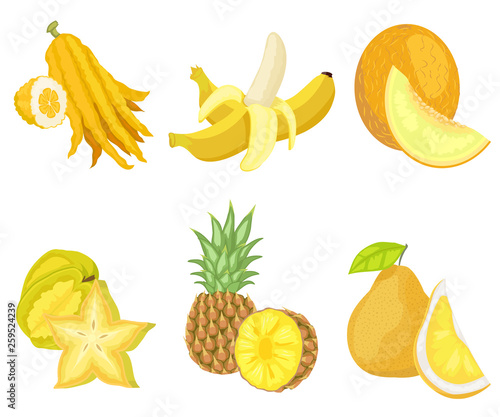 Fototapeta Naklejka Na Ścianę i Meble -  Exotic lush fruits of yellow color vector, set of isolated banana and citron, melon and pineapple with foliage, pear and carambola in shape of star