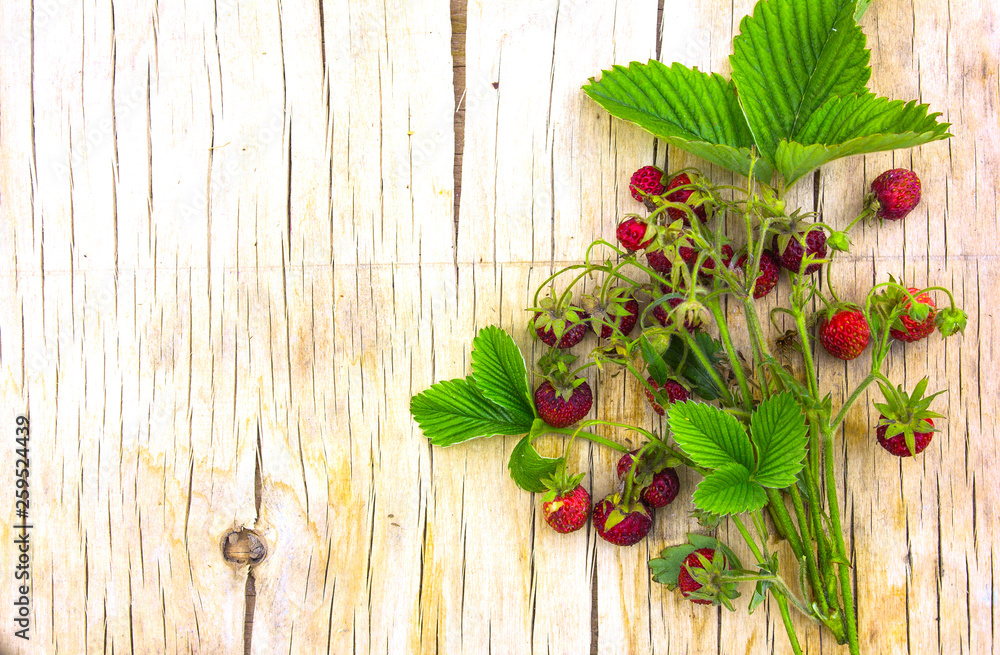 Bouquet of wild strawberries on wooden background Bouquet of wild strawberries on wooden background