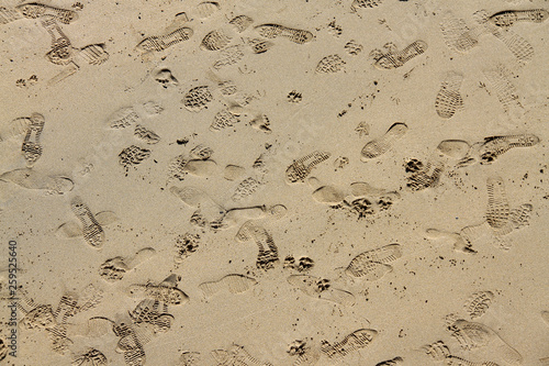 Random footsteps on a sandy beach