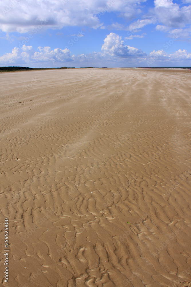 Empty sandy beach with texture and slight wind looking into horizon Empty sandy beach with texture and slight wind looking into horizon