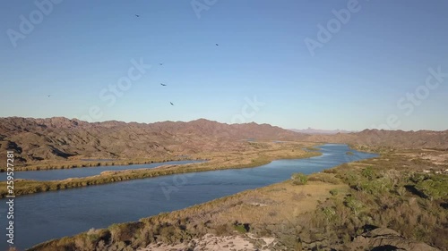 Ascending aerial view of the Colorado River with birds and beautiful light.