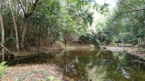 Small dams on river Matua photo