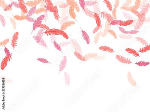 Fluffy twirled feathers on white design.