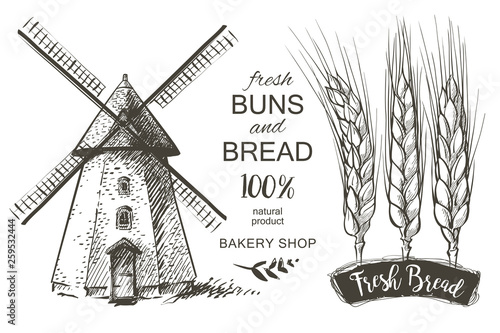 Rural landscape field wheat. Hand drawn vector Countryside landscape engraving style illustration.