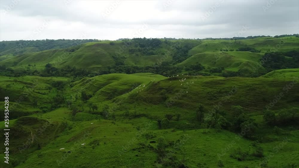 Aerial Video of wonderful green scenery in Sumba Island, Indonesia. Aerial Video of wonderful green scenery in Sumba Island, Indonesia.