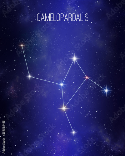 Camelopardalis the giraffe constellation on a starry space background. Stars relative sizes and color shades based on their spectral type.