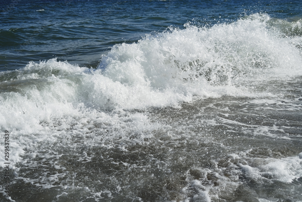 Fototapeta premium 海 波 浜 素材