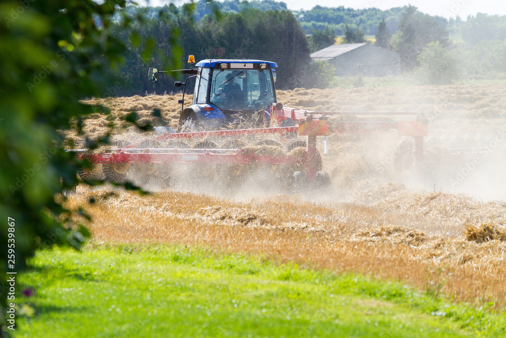 Fototapeta premium Tracteur dans un champ de blé après la moisson