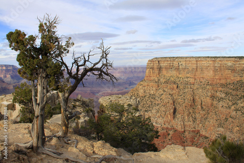 Grand Canyon National Park view against a clear blue sky