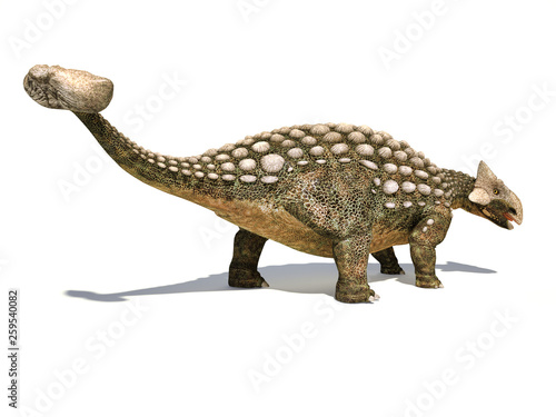 Ankylosaurus dinosaur isolated on white background. photo