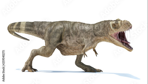 T-rex full body perspective view.
