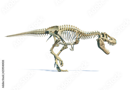 Tyrannosaurus Rex dinosaur photorealistic 3d rendering of full skeleton